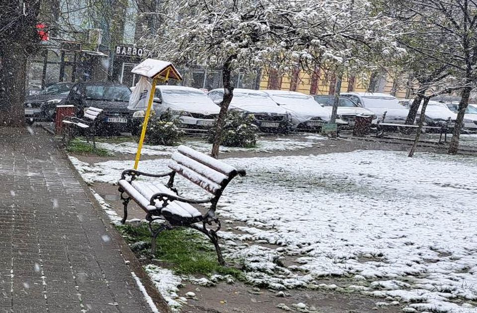 Novosađanka traži klupe duž ulice Narodnog fronta, evo šta kažu iz gradske uprave