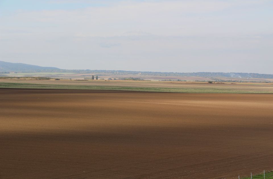 Srbija izgubila više od milion hektara oranica zbog izgradnje zgrada, industrijskih zona i puteva