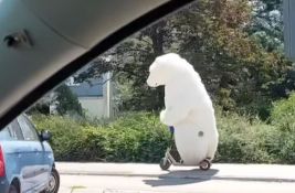 VIDEO: Neobična scena na ulicama Novog Sada - polarni medved na električnom trotinetu