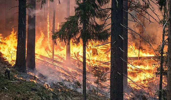 Požar na Suvoj planini, sela za sada nisu ugrožena 