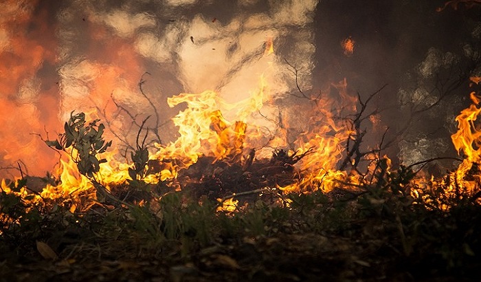 Grčka: Smenjeni načelnici policije i vatrogasne brigade nakon kobnih požara