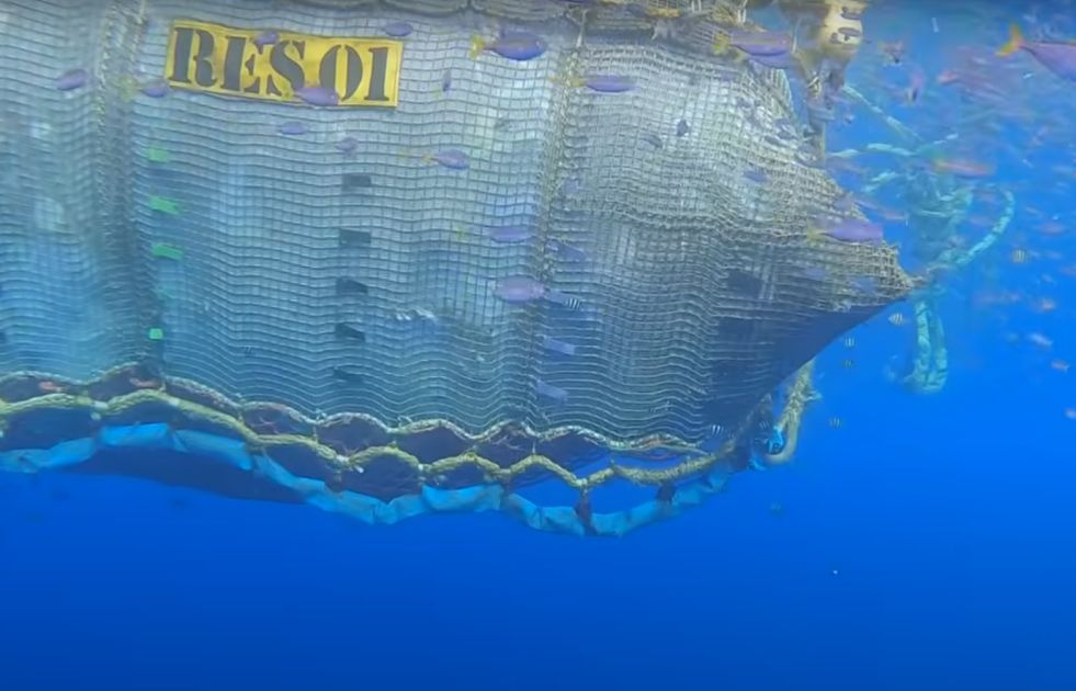 Zajednice primorskih životinja otkrivene u najvećoj pacifičkoj deponiji plastike na svetu