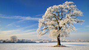 Zimska kratkodnevica 2019: Kada je 