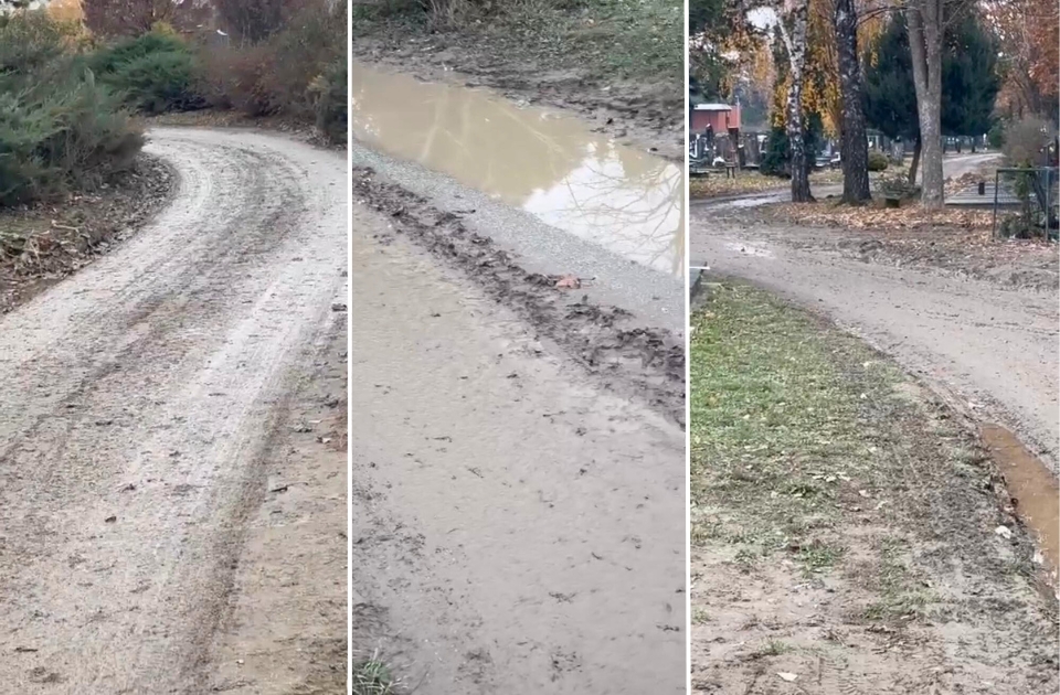 VIDEO: Gradsko groblje u blatu i barama, Novosađanin kaže: "Takvo stanje dok ne otopli"