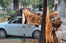 FOTO, VIDEO: Jutro nakon oluje u Novom Sadu - šteta primetna na svakom koraku 