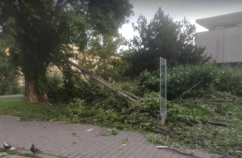 FOTO, VIDEO: Oluja pravila haos širom Srbije, uklanjaju se posledice 