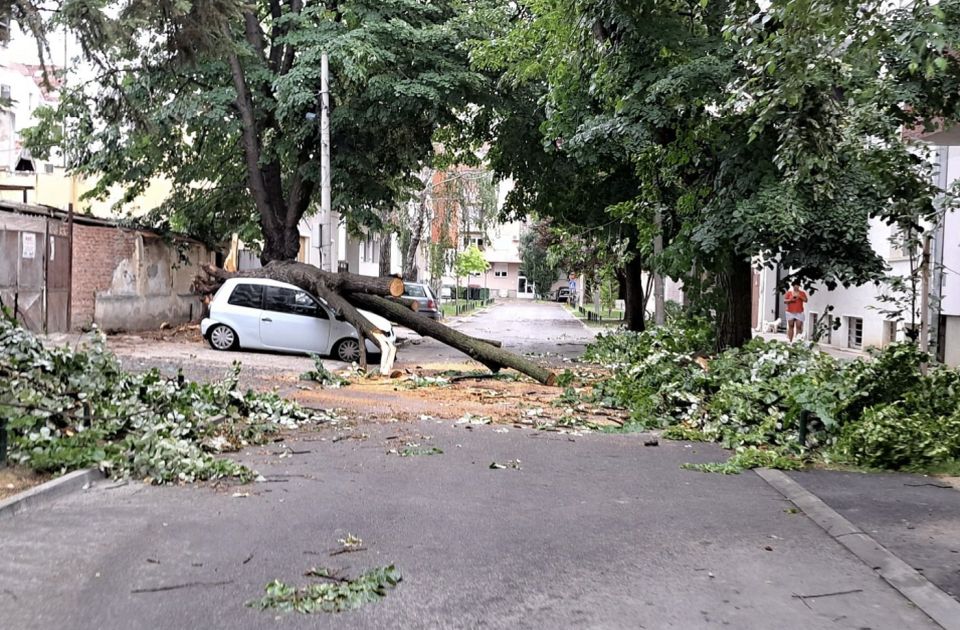 Ministar o naknadi štete zbog nevremena: Još uvek rano za procenu, automobili nisu predmet pomoći