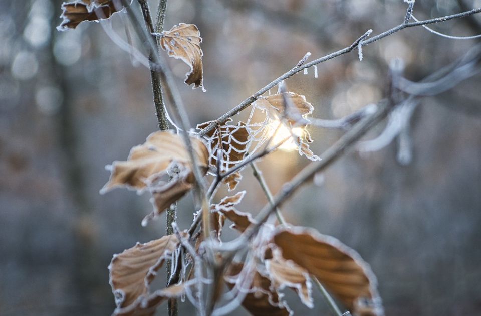 Pred Novosađanima sunčana, ali ledena sedmica