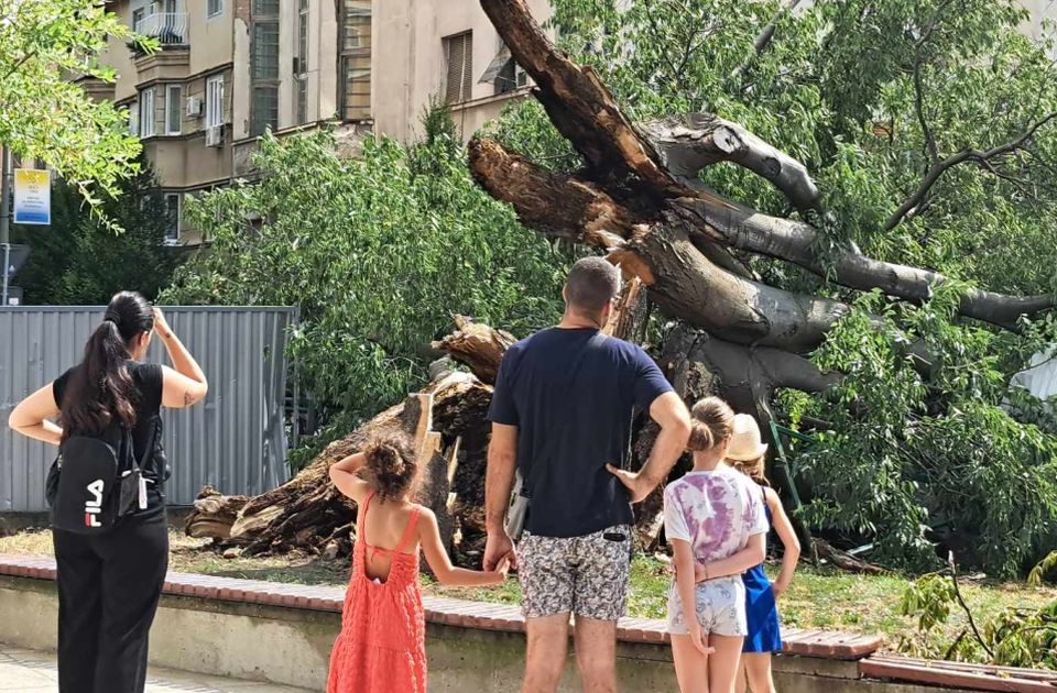 Od Dunavskog parka do uništenog koprivića: Danas novi protest "Novi Sad protiv nasilja"