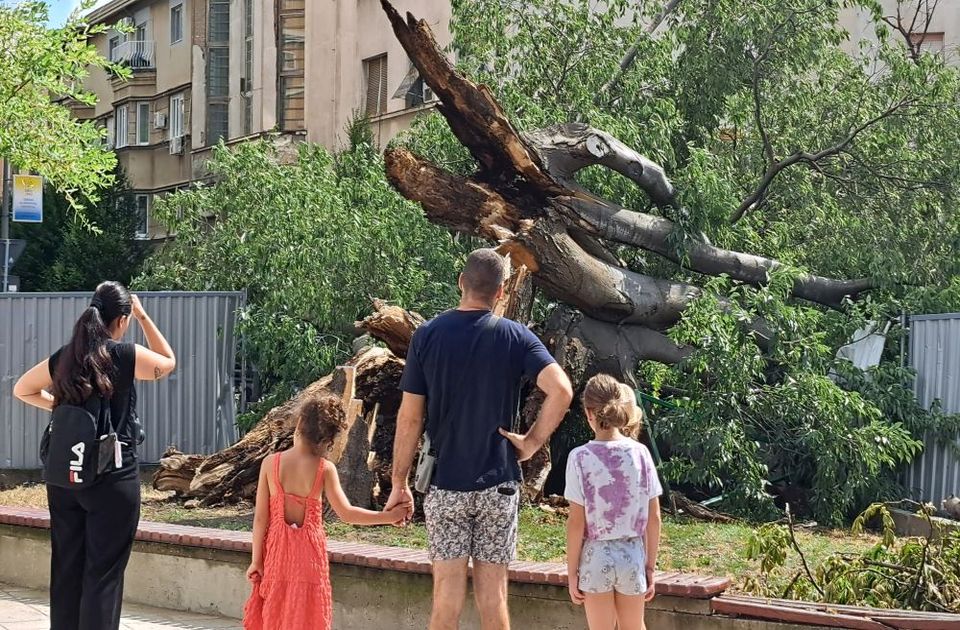 Godinu dana od oluja u Novom Sadu: Šta je sve oštećeno, a šta sanirano za to vreme?