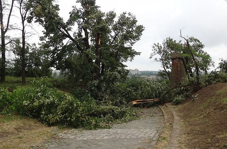 FOTO: Više stabala oboreno na Tvrđavi