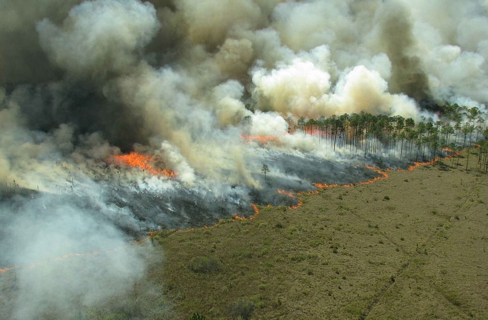 Požar na Žabljaku i dalje aktivan