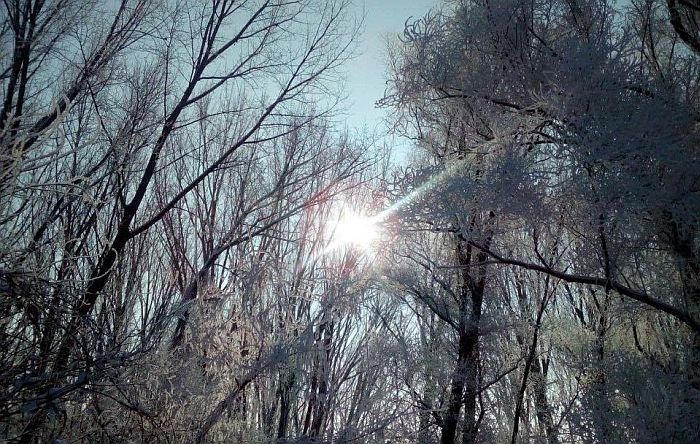 Uobičajeno hladan decembar, nešto suvlji i blaži januar