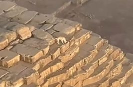 VIDEO Pas na vrhu Keopsove piramide u Egiptu: Penjanje zabranjeno, ali ne i Apolu