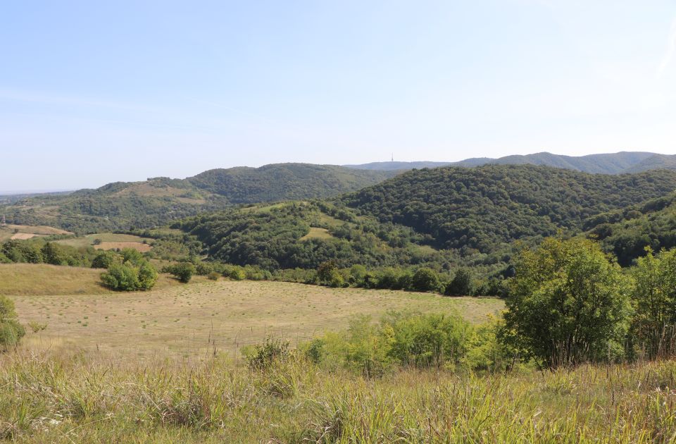 Pešačenje za decu i odrasle danas na Fruškoj gori