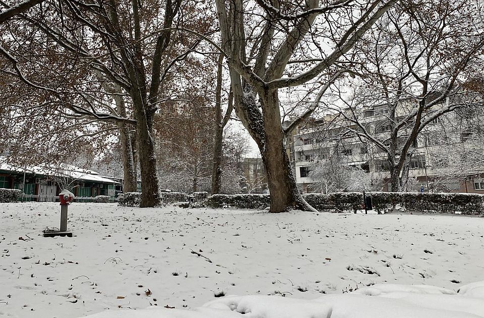 Novi Sad u zimskom snu: Sreda nam donosi led i poneki zrak sunca, ali i par dešavanja u gradu