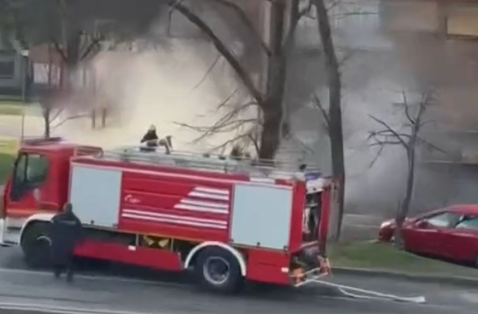 VIDEO Požar u prodavnici oružja u Beogradu, čule se i detonacije: Nema povređenih