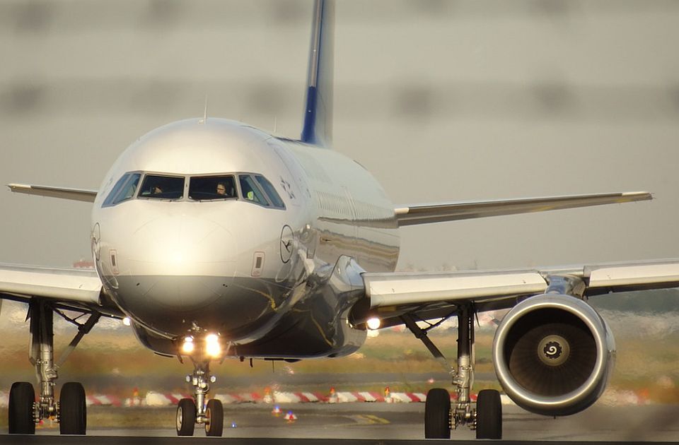 VIDEO: Pokrenuta istraga o medvedu koji je pobegao iz tovarnog prostora aviona