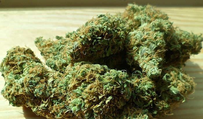 Prva godina legalizacije marihuane u Nevadi nadmašila očekivanja