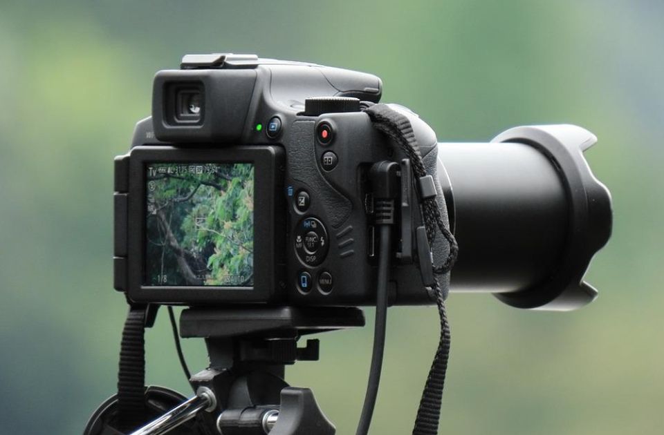 FOTO: Vučić objavio ovonedeljnu pobedničku fotografiju Srbije - lepote suncokreta u Vojvodini