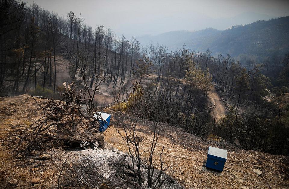 Turska: Pod kontrolom većina požara