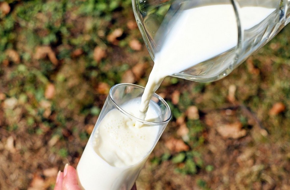 Zrenjanin: Prokrijumčarili 70.000 litara mleka