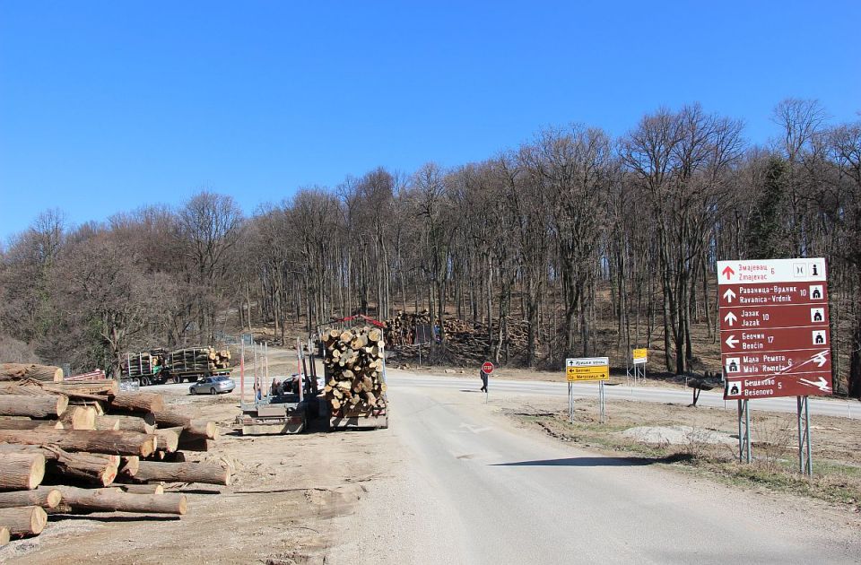 Za koga se seče na Fruškoj gori? Nacionalni park kažnjen zbog nanošenja štete životnoj sredini