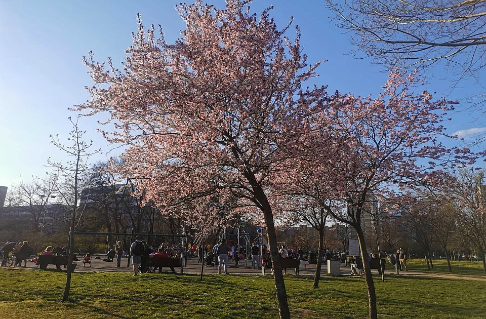 Šta poslednji martovski ponedeljak donosi Novosađanima?