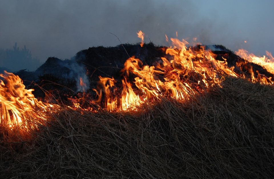 MUP apeluje na građane: Ne palite travu i nisko rastinje, kazne do milion dinara