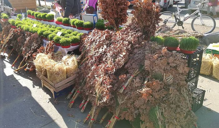 FOTO, VIDEO: Badnji dan u Novom Sadu, najviše drva goreće na Klisi