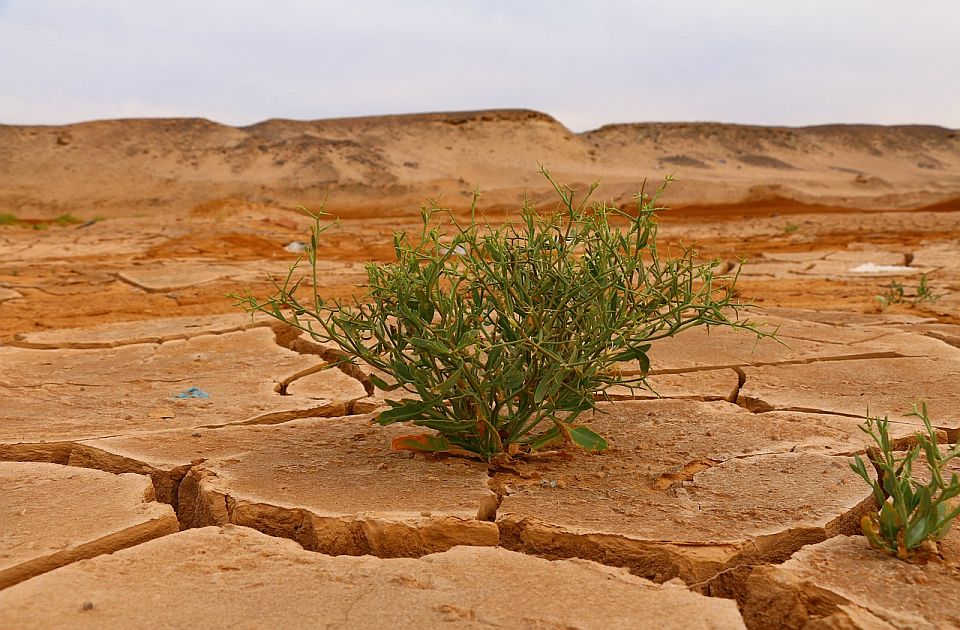 Klimatske promene naše "nasušne": Ove godine smo imali 41 ekstremno topao dan više nego inače