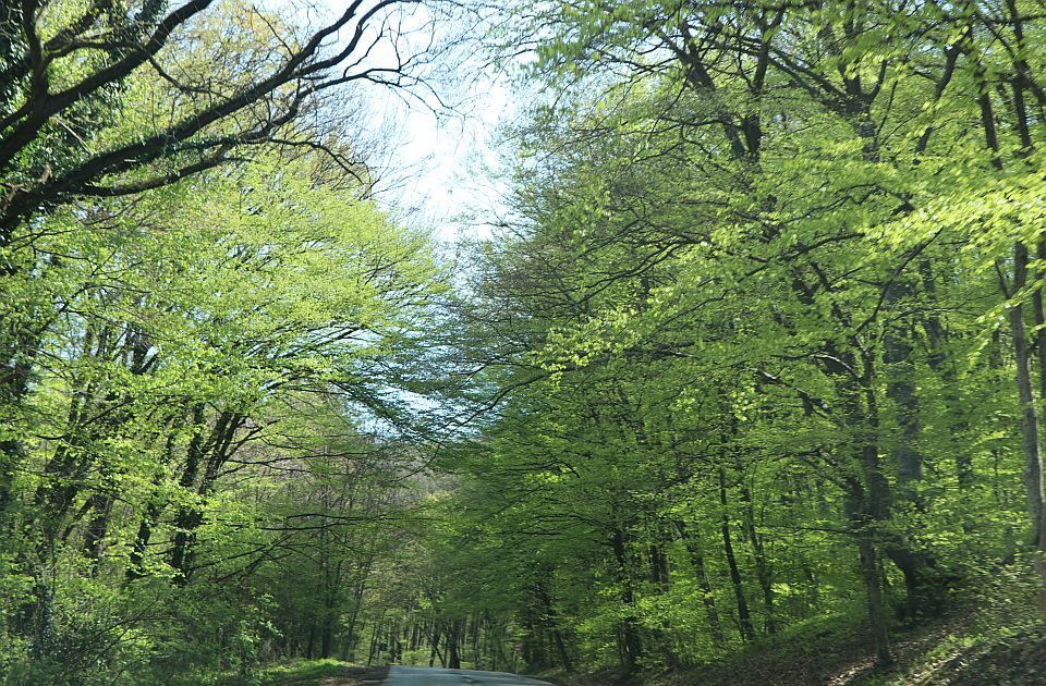 Pešačenje "Novogodišnje čarolije" u subotu