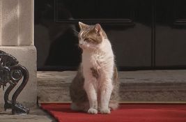 FOTO: Premijeri se menjaju, ali mačak Lari ostaje u Dauning stritu