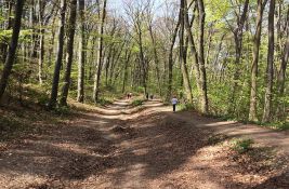 Dodeljen novac za zaštićena područja u Vojvodini: 950 hiljada za NP Fruška gora