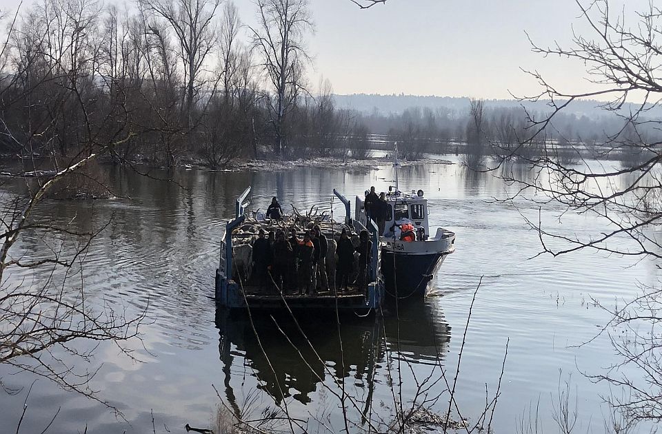 Pauza u spasavanju životinja sa Krčedinske ade