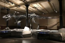 Skelet dinosaurusa prodat za 44,6 miliona dolara