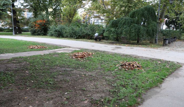 Šta vam sve treba da biste postavili baštu kafića u Dunavskom parku?