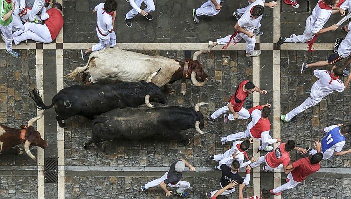 Otkazan španski festival San Fermin poznat po trkama bikova