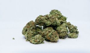 Ministar pravde SAD namerava da opozove legalizaciju marihuane