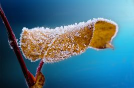 Narednih dana jutarnji mrazevi i dnevne temperature malo iznad nule