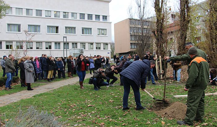 FOTO, VIDEO: Kod Banovine posađeno prvih 10 od 10.000 sadnica