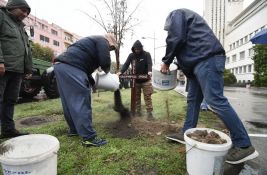 FOTO, VIDEO: Ispred Banovine 