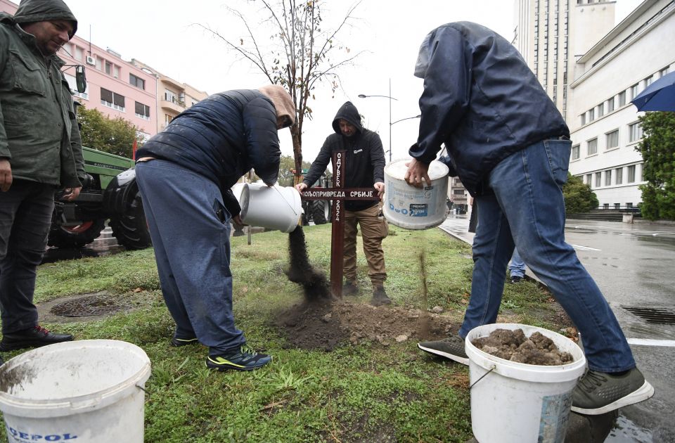 FOTO, VIDEO: Ispred Banovine "sahranjena" poljoprivreda, poziv na odlazak traktorima u Beograd