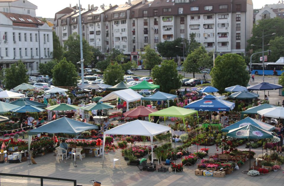 Neće biti Novosadske cvetne pijace zbog loše vremenske prognoze