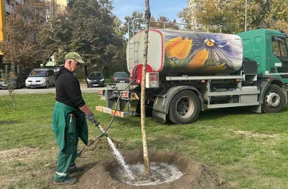 "Zelenilo" na više lokacija u Novom Sadu sadi skoro 50 stabala