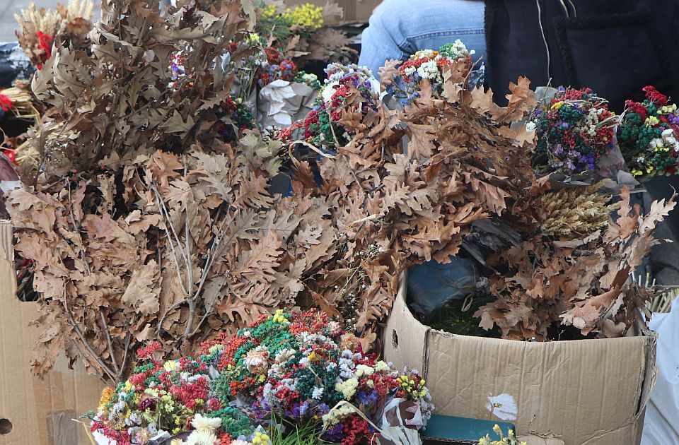 Vlada Srbije preporučila da 8. januar bude neradni dan