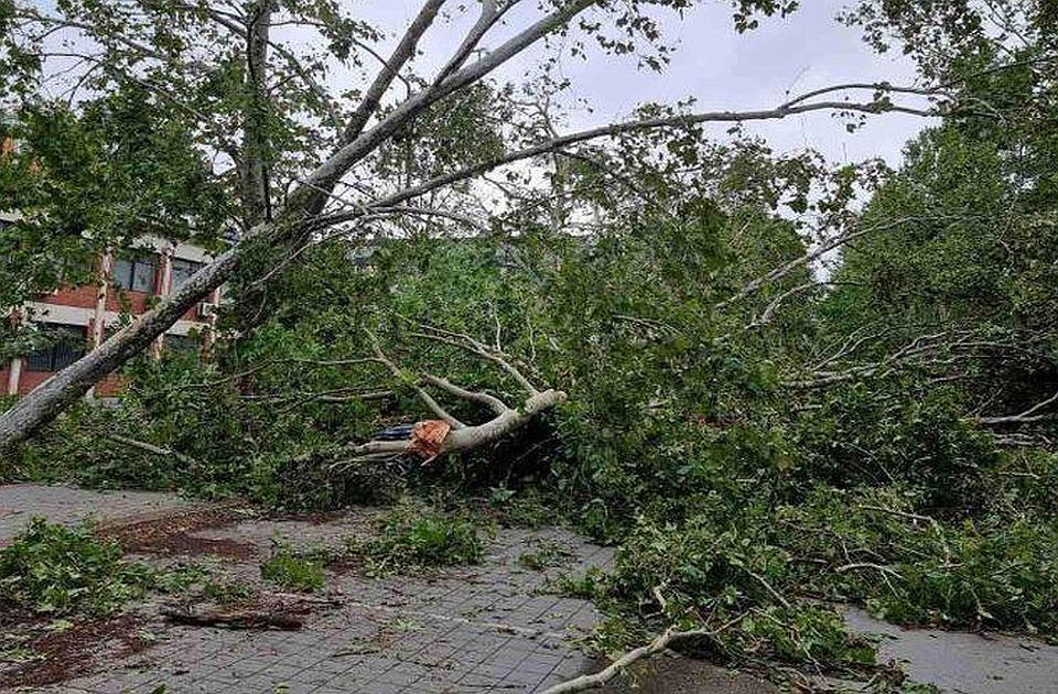 Roditelji organizovano sređuju i renoviraju novosadsku školu, pojedinci pitaju zašto to ne radi Grad