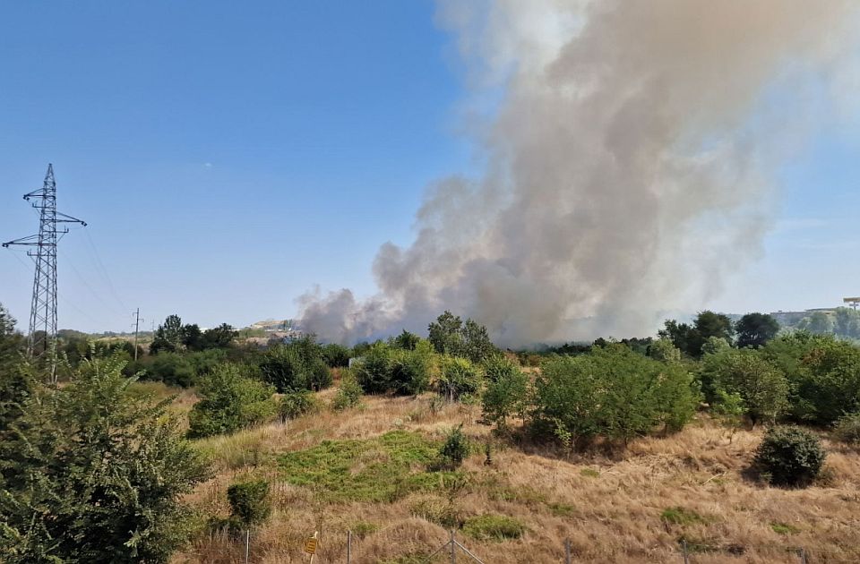 "Čistoća" o požaru kod Gradske deponije: Gori nisko rastinje, biće ugašeno