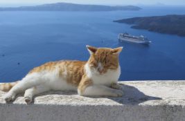 Grci mole turiste da se bolje informišu o toplotnom talasu nakon što je stradao poznati TV voditelj