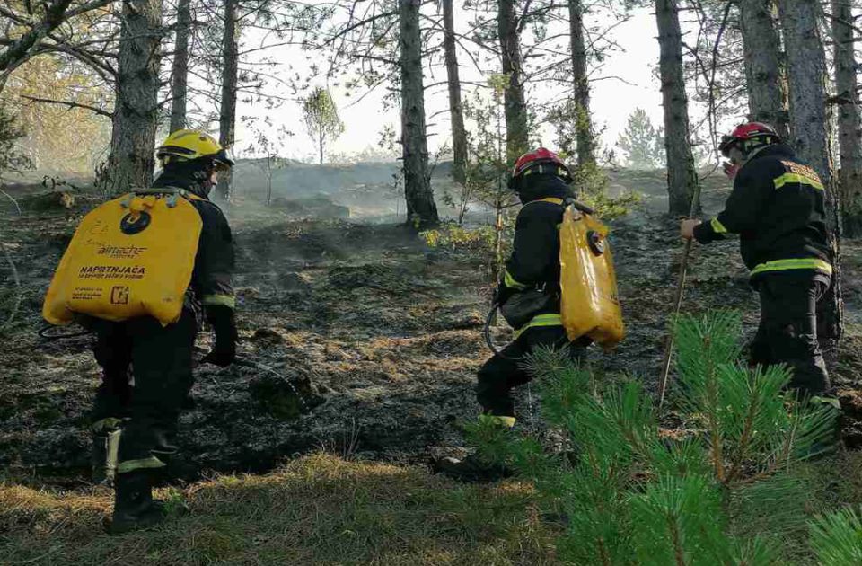 Požar na Vidliču i dalje bukti, Pirot i Dimitrovgrad proglasili vanrednu situaciju